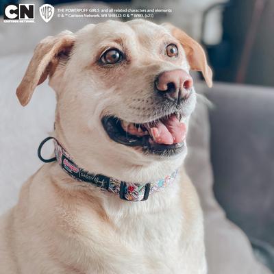 Show full view: Sassy Woof Powerpuff Girls Dog Collar, Pink, Small: 9.5 to 13-in neck, .60-in wide slide 6 of 6