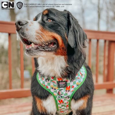 Show full view: Sassy Woof Powerpuff Girls Dog Harness, Green, Small: 16 to 21-in chest slide 6 of 6