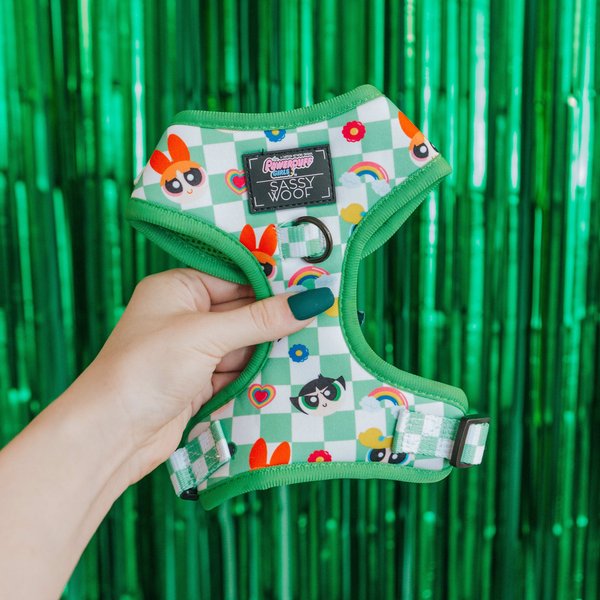 Sassy Woof Powerpuff Girls Dog Harness, Green