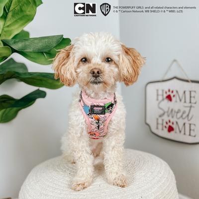Show full view: Sassy Woof Powerpuff Girls Dog Harness, Pink, Small: 16 to 21-in chest slide 5 of 6