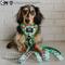 Show in main carousel: Sassy Woof Powerpuff Girls Dog Leash, 5-ft long, 4/5-in wide, Green slide 5 of 5