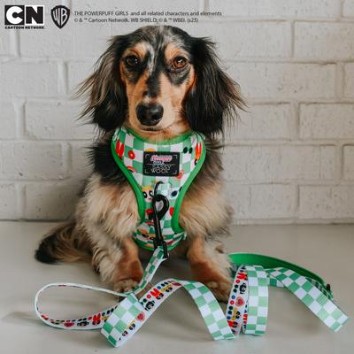 Show full view: Sassy Woof Powerpuff Girls Dog Leash, 5-ft long, 4/5-in wide, Green slide 5 of 5