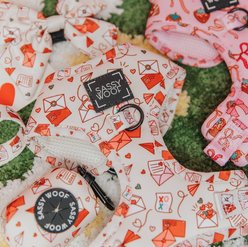 Sassy Woof P.S. I Woof You Dog Adjustable Harness, Beige, Small: 16 to 21-in chest slide 2 of 6