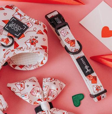 Show full view: Sassy Woof P.S. I Woof You Dog Collar, Beige, Medium: 19.7-in neck, 3/4-in wide slide 3 of 5