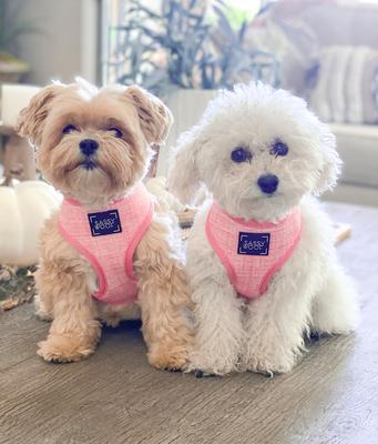 Show full view: Sassy Woof Reversible Dog Harness, Dolce Rose, Small slide 5 of 5