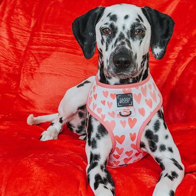 Show full view: Sassy Woof Reversible Dog Harness, Dolce Rose, X-Small slide 5 of 6