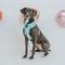 Show in main carousel: Sassy Woof Reversible Wag Your Teal Dog Harness, Teal, Small slide 7 of 8