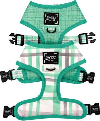 Show full view: Sassy Woof Reversible Wag Your Teal Dog Harness, Teal, XX-Small slide 3 of 9
