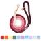 Show in main carousel: Sassy Woof Rope Dog Leash, Amore slide 4 of 6
