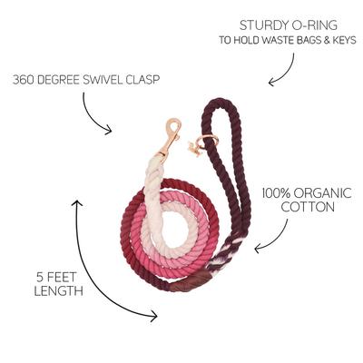 Show full view: Sassy Woof Rope Dog Leash, Amore slide 5 of 6