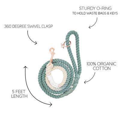 Show full view: Sassy Woof Rope Dog Leash, Dandy slide 5 of 6