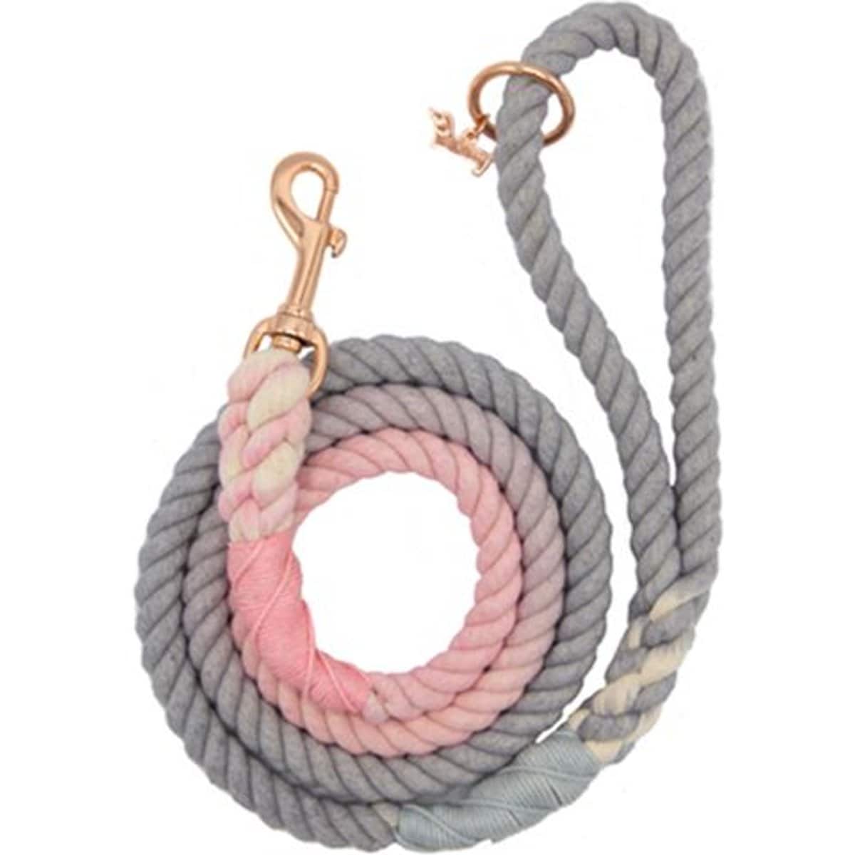 Sassy Woof Rope Dog Leash, Daydream