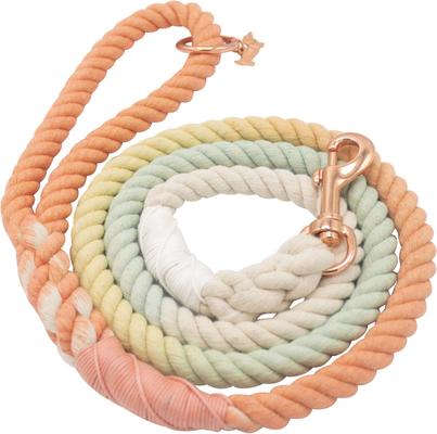 Show full view: Sassy Woof Rope Dog Leash, Honeydew slide 2 of 6