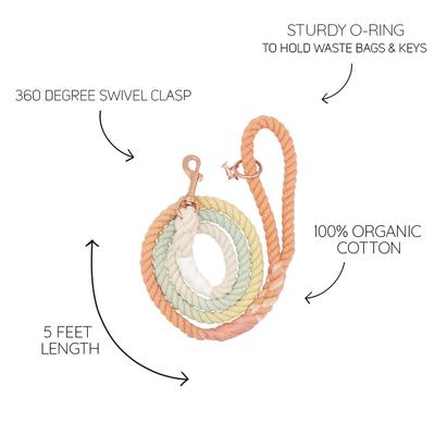 Show full view: Sassy Woof Rope Dog Leash, Honeydew slide 5 of 6