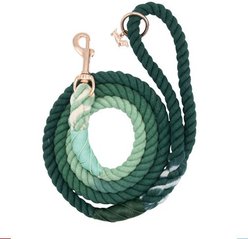 Sassy Woof Rope Dog Leash, Hunter
