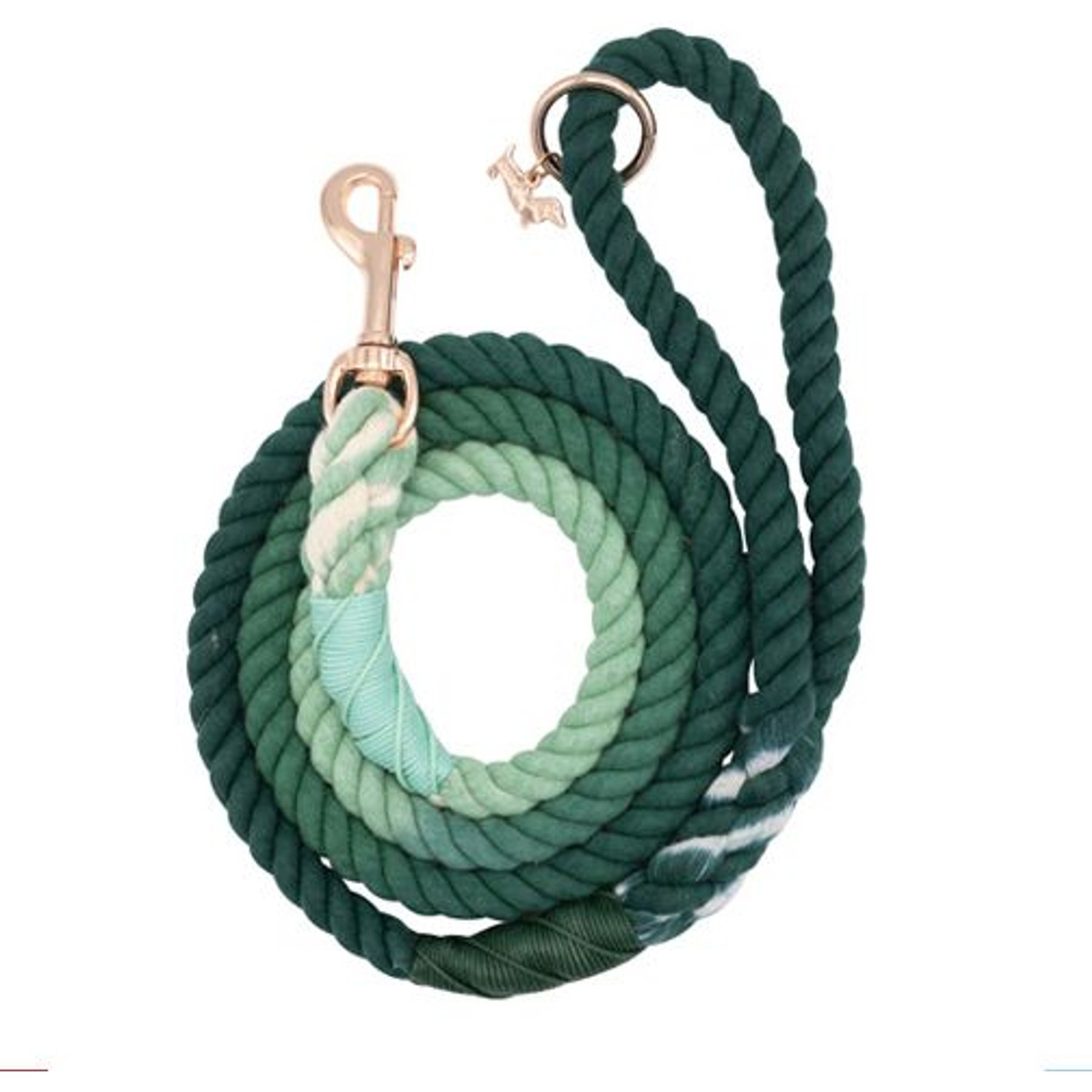 Sassy Woof Rope Dog Leash, Hunter