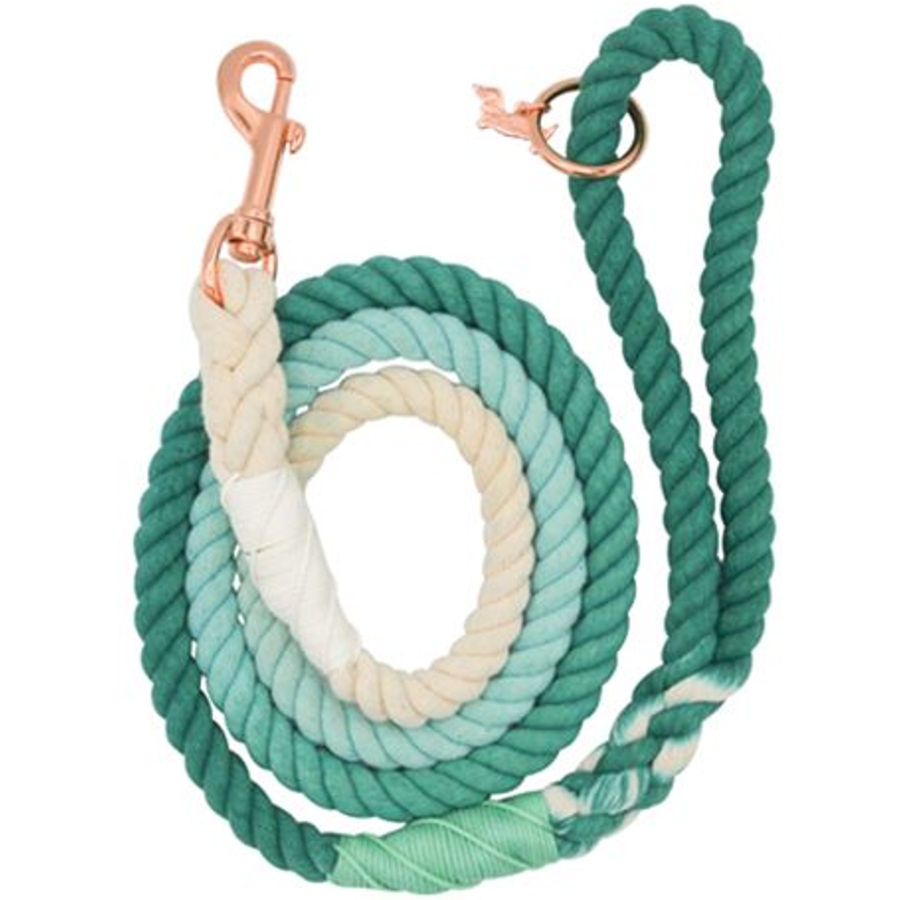 Sassy Woof Rope Dog Leash, Ombre Teal