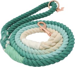 Sassy Woof Rope Dog Leash, Ombre Teal slide 2 of 6