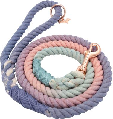 Show full view: Sassy Woof Rope Dog Leash, Peony slide 2 of 6