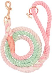 Sassy Woof Rope Dog Leash, Sherbet