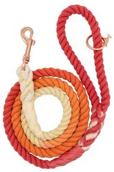 Sassy Woof Rope Dog Leash, Sunrise