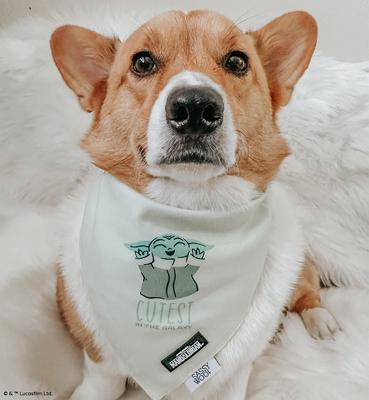 Show full view: Sassy Woof STAR WARS The Child Dog Bandana, Large slide 6 of 6
