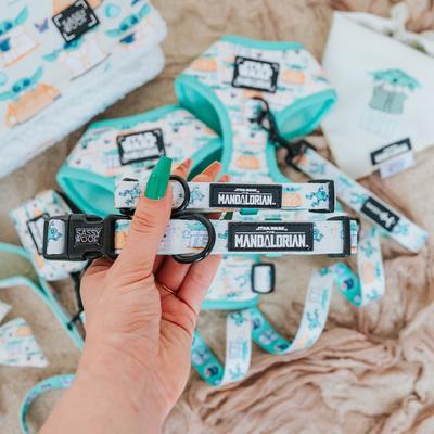 Show full view: Sassy Woof STAR WARS The Child Dog Collar, Medium: 12.6 to 19.7-in neck, 1-in wide slide 5 of 6