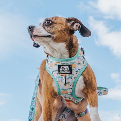 Show full view: Sassy Woof STAR WARS The Child Dog Harness, X-Small: 14 to 19-in chest slide 4 of 6