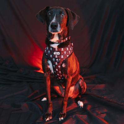 Show full view: Sassy Woof STAR WARS The Dark Side Dog Harness, Small: 16 to 21-in chest slide 4 of 5