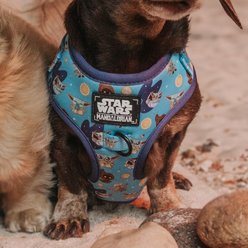 Sassy Woof STAR WARS The Mandalorian Dog Harness, Medium: 18 to 25-in chest slide 2 of 5
