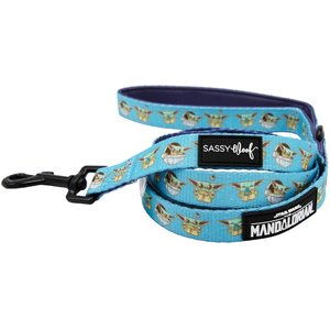 Sassy Woof STAR WARS The Mandalorian Dog Leash, One Size: 5-ft long, 1-in wide