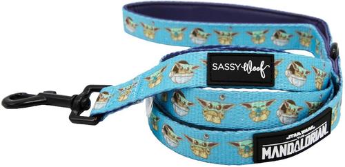 Show full view: Sassy Woof STAR WARS The Mandalorian Dog Leash, One Size: 5-ft long, 1-in wide slide 1 of 6