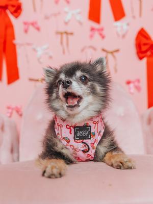 Show full view: Sassy Woof Sweet Treats Dog Adjustable Harness, Pink, Large: 22 to 33-in chest slide 6 of 8