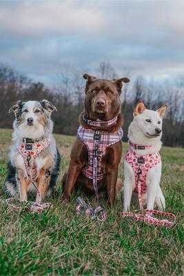 Show full view: Sassy Woof Sweet Treats Dog Adjustable Harness, Pink, X-Large: 24 to 35-in chest slide 6 of 7