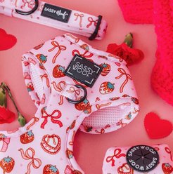 Sassy Woof Sweet Treats Dog Adjustable Harness, Pink, X-Small: 10 to 16-in chest slide 2 of 6