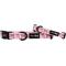 Show in main carousel: Sassy Woof Sweet Treats Dog Collar, Pink, Large: 26-in neck, 1-in wide slide 1 of 6