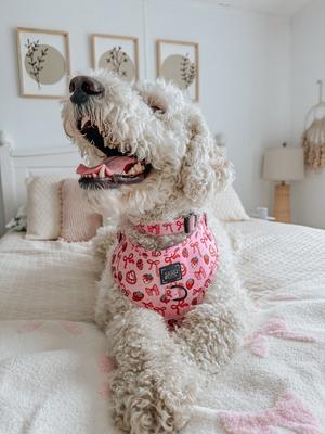 Show full view: Sassy Woof Sweet Treats Dog Collar, Pink, X-Small: 9.5-in neck, 1/3-in wide slide 5 of 6