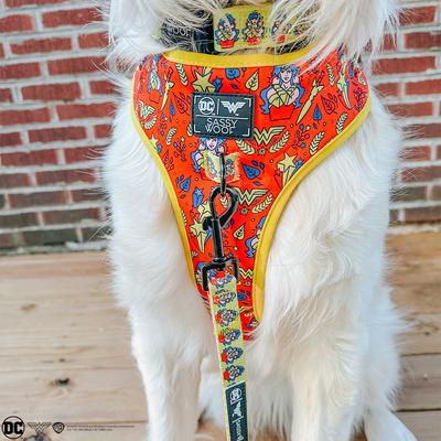 Show full view: Sassy Woof Wonder Woman Dog Collar, Yellow, Medium: 12.6 to 19.7-in neck, .78-in wide slide 7 of 7