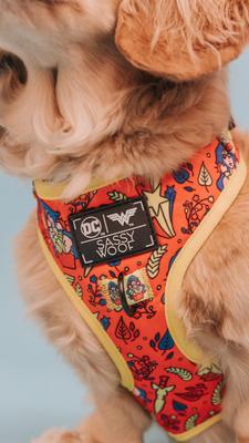 Show full view: Sassy Woof Wonder Woman Dog Harness, Red, Medium: 18 to 25-in chest slide 3 of 4
