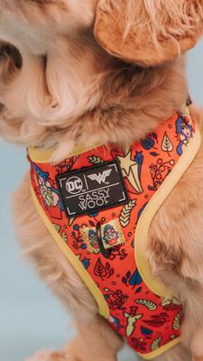 Show full view: Sassy Woof Wonder Woman Dog Harness, Red, XX-Small: 10 to 14-in chest slide 3 of 4