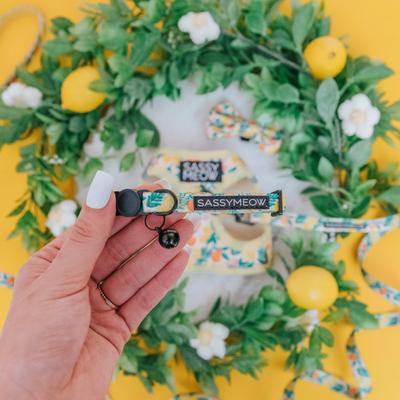 Show full view: Sassy Woof Zest Friends Cat Collar, Small: 5-in neck, 1/2-in width slide 4 of 6