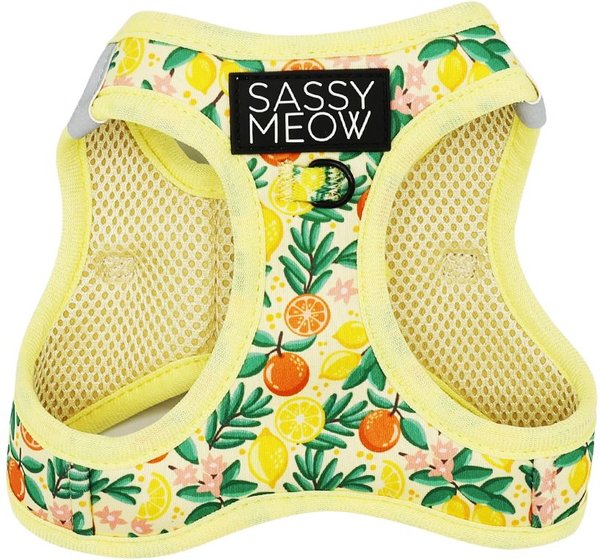 Sassy Woof Zest Friends Cat Harness