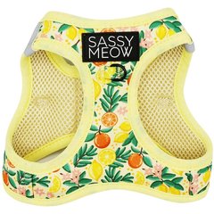 Sassy Woof Zest Friends Cat Harness, Medium