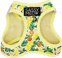 Sassy Woof Zest Friends Cat Harness, Small