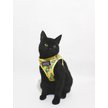Show in main carousel: Sassy Woof Zest Friends Cat Harness, Small slide 4 of 7