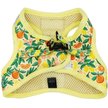 Show in main carousel: Sassy Woof Zest Friends Cat Harness, Small slide 2 of 7