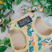 Show in main carousel: Sassy Woof Zest Friends Cat Harness, Small slide 3 of 7