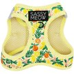 Show in main carousel: Sassy Woof Zest Friends Cat Harness, X-Small slide 1 of 7