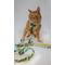 Show in main carousel: Sassy Woof Zest Friends Cat Leash, 6-ft long slide 4 of 4