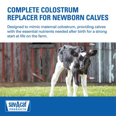 Show full view: Sav-A-Caf Colostrum Replacer 100, 350-g pouch slide 5 of 8